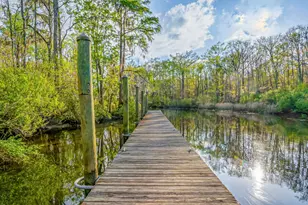 67 Rose Bud Ct, Murrells Inlet, SC 29576 - Photo 73