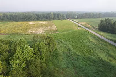 9.58 Acres - S Deerfield Rd., Johnsonville, SC 29555 - Photo 5