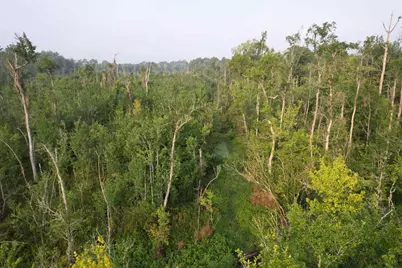 9.58 Acres - S Deerfield Rd., Johnsonville, SC 29555 - Photo 9