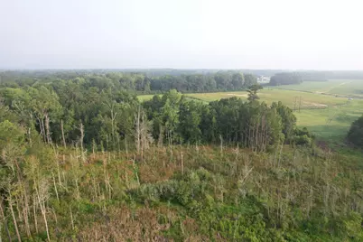 17.74 Acres - S Deerfield Rd., Johnsonville, SC 29555 - Photo 9