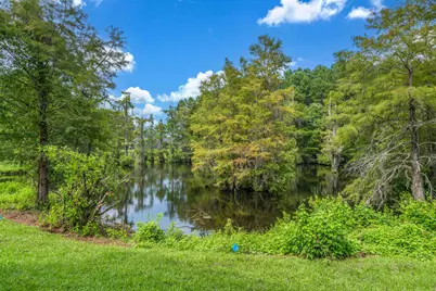 157 Board Landing Circle, Conway, SC 29526 - Photo 7