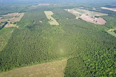 50.5 Acres Epps Rd., New Zion, SC 29111 - Photo 21