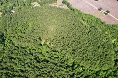 50.5 Acres Epps Rd., New Zion, SC 29111 - Photo 17