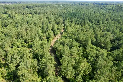 50.5 Acres Epps Rd., New Zion, SC 29111 - Photo 23
