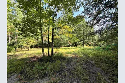 50.5 Acres Epps Rd., New Zion, SC 29111 - Photo 1