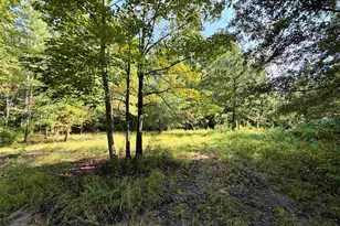 50 5 Acres Epps Rd, New Zion, SC 29111 - Photo 1