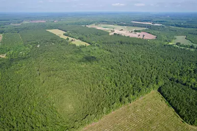 50.5 Acres Epps Rd., New Zion, SC 29111 - Photo 19