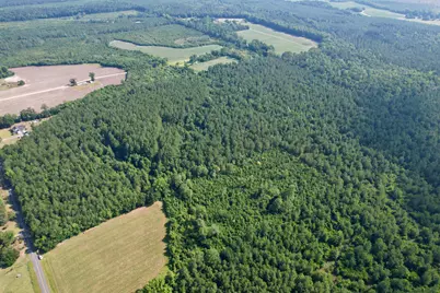 50.5 Acres Epps Rd., New Zion, SC 29111 - Photo 15