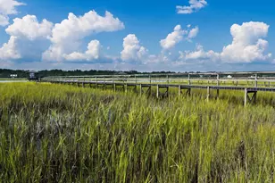 35 Georgeanna Ct, Pawleys Island, SC 29585 - Photo 63