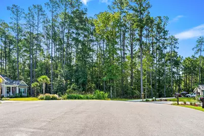 200 Joanna Gillard Ln., Georgetown, SC 29440 - Photo 27