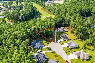 200 Joanna Gillard Ln., Georgetown, SC 29440 - Photo 3