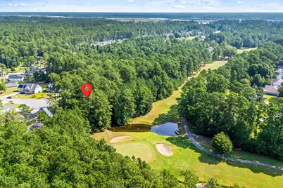 200 Joanna Gillard Ln., Georgetown, SC 29440 - Photo 21