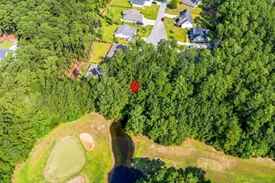 200 Joanna Gillard Ln., Georgetown, SC 29440 - Photo 9