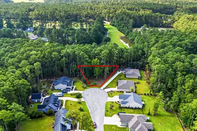 200 Joanna Gillard Ln., Georgetown, SC 29440 - Photo 31