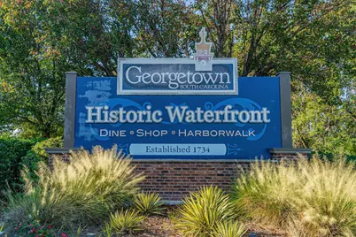 200 Joanna Gillard Ln., Georgetown, SC 29440 - Photo 65