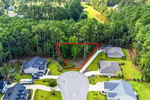 200 Joanna Gillard Ln, Georgetown, SC 29440 - Photo 13