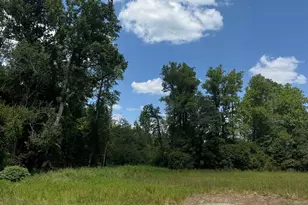 10056 W Hwy 19, Loris, SC 29569 - Photo 3
