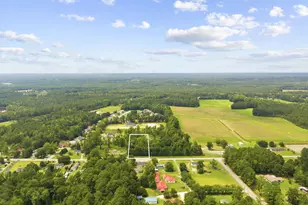 Tbd Hwy 905, Conway, SC 29526 - Photo 1