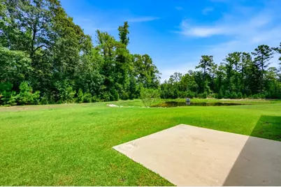 160 Baylee Circle, Galivants Ferry, SC 29544 - Photo 23
