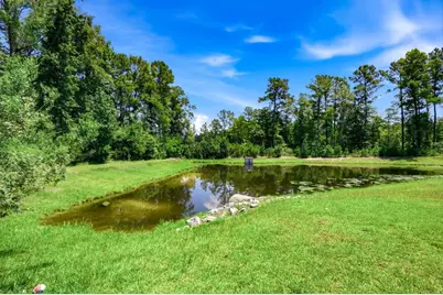 160 Baylee Circle, Galivants Ferry, SC 29544 - Photo 25