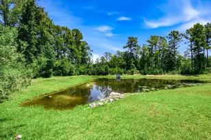160 Baylee Cir, Galivants Ferry, SC 29544 - Photo 25