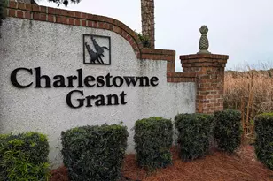 10 Sea Oats Cir, Pawleys Island, SC 29585 - Photo 63