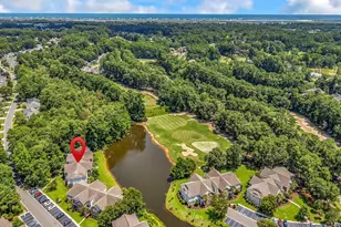 4645 Fringetree Dr, Murrells Inlet, SC 29576 - Photo 61