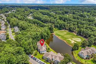 4645 Fringetree Dr, Murrells Inlet, SC 29576 - Photo 59