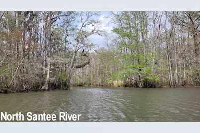 659 Harris Landing Rd., Georgetown, SC 29440 - Photo 43