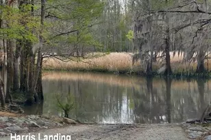 659 Harris Landing Rd, Georgetown, SC 29440 - Photo 39