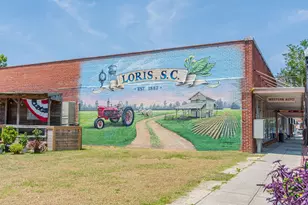 1492 W Hwy 9 Bypass, Loris, SC 29569 - Photo 31