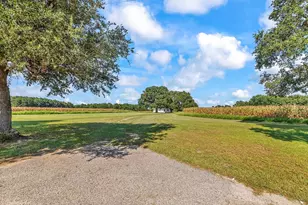 3568 Alcolu St, Alcolu, SC 29001 - Photo 3