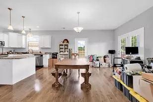 3568 Alcolu St, Alcolu, SC 29001 - Photo 51
