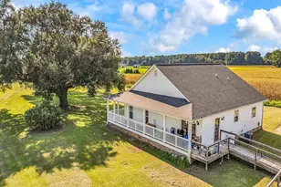 3568 Alcolu St, Alcolu, SC 29001 - Photo 41
