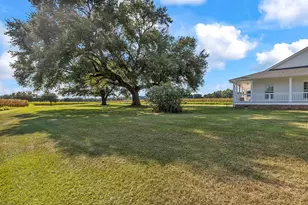 3568 Alcolu St, Alcolu, SC 29001 - Photo 7