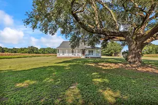 3568 Alcolu St, Alcolu, SC 29001 - Photo 13