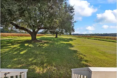 3568 Alcolu St., Alcolu, SC 29001 - Photo 9
