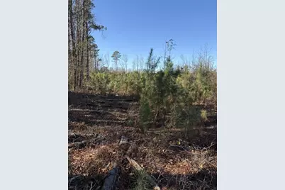 Tbd Vincent Rd, Mullins, SC 29574 - Photo 3