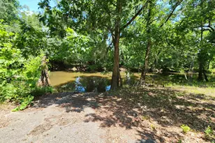 380 Bauer Trail, Hemingway, SC 29554 - Photo 13