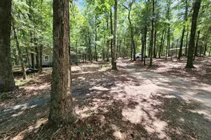 380 Bauer Trail, Hemingway, SC 29554 - Photo 17