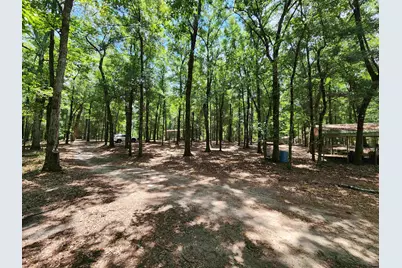 329 Bauer Trail, Hemingway, SC 29554 - Photo 7
