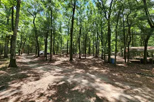 329 Bauer Trail, Hemingway, SC 29554 - Photo 7