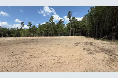380 Brunson Spring Rd., Galivants Ferry, SC 29544 - Photo 13