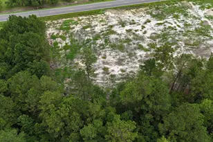 380 Brunson Spring Rd, Galivants Ferry, SC 29544 - Photo 21