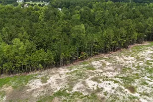 380 Brunson Spring Rd, Galivants Ferry, SC 29544 - Photo 25