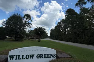 300 Willow Green Dr, Conway, SC 29526 - Photo 3