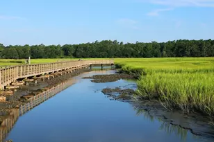 55 Stone Path, Murrells Inlet, SC 29576 - Photo 53