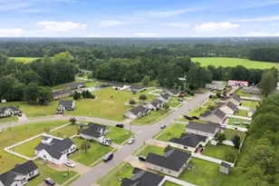 117 Cottage Creek Cir, Conway, SC 29527 - Photo 9