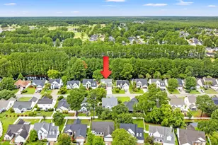 424 Blackberry Ln, Myrtle Beach, SC 29579 - Photo 53