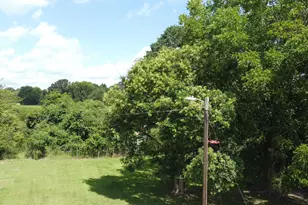 466 Ivey Dr, Clio, SC 29525 - Photo 27